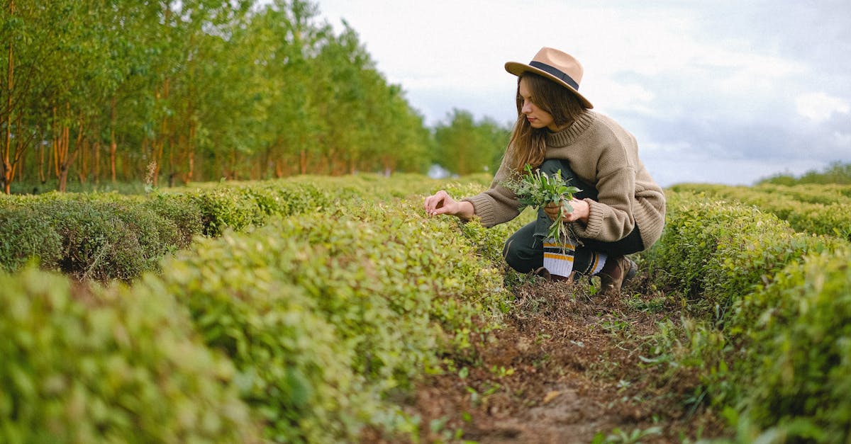 Trouver des emplois saisonniers : conseils pour les candidats
