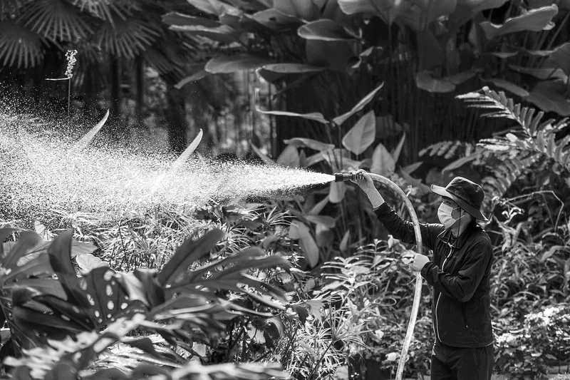 Les niveaux de l'enchantement : de I à IV