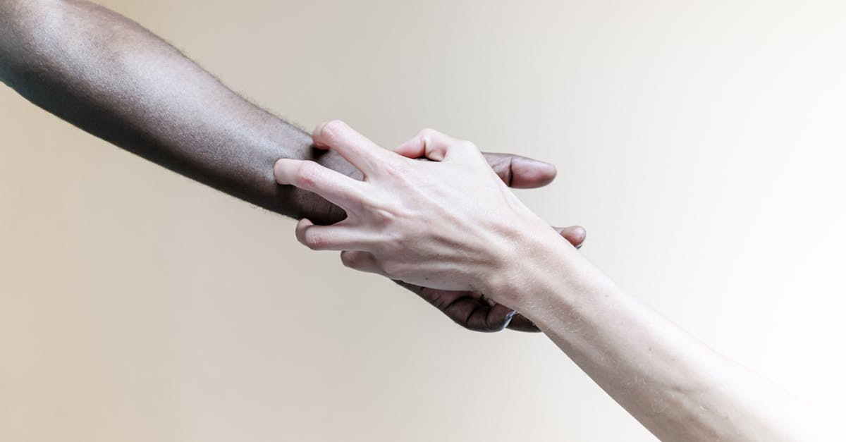 découvrez l'importance de l'intégration dans le développement personnel et professionnel. apprenez comment intégrer des compétences, des idées et des cultures pour favoriser une collaboration efficace et enrichissante. explorez les meilleures pratiques et stratégies d'intégration pour maximiser vos succès.