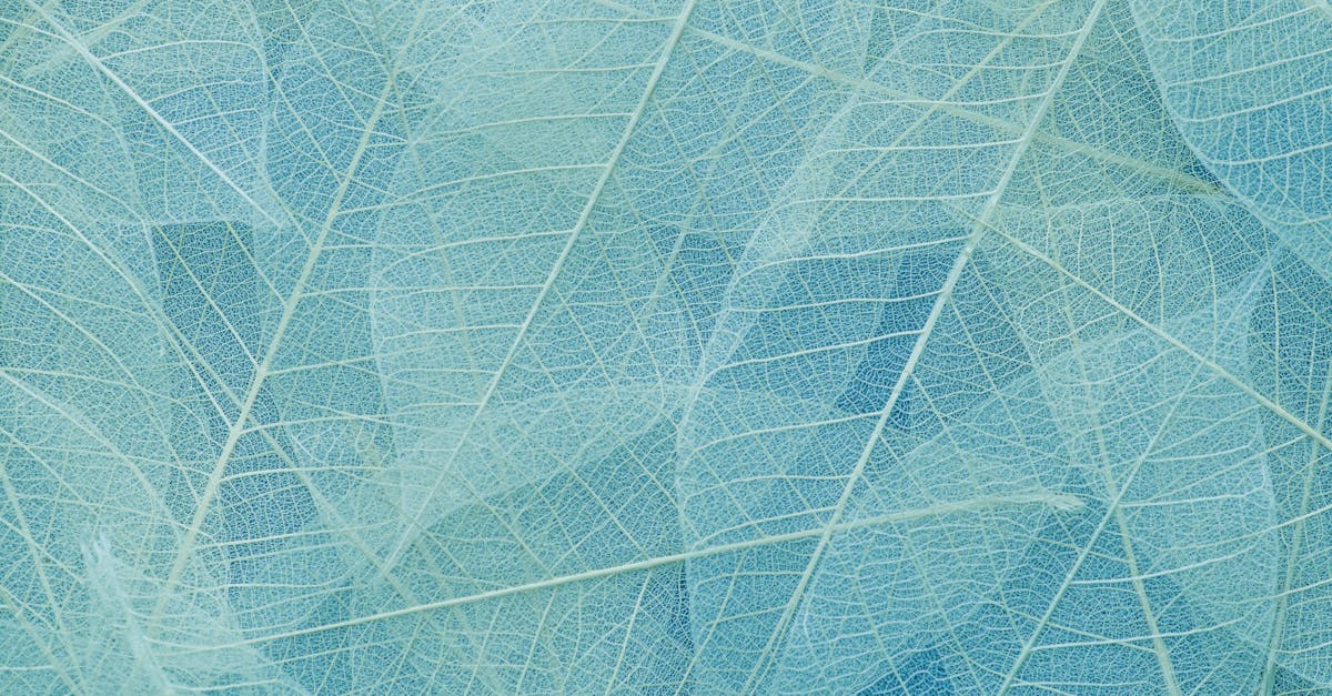 découvrez tout sur le congé payé : définition, avantages, droits des employés et conseils pour optimiser votre temps de repos. informez-vous sur vos droits et apprenez à mieux gérer vos congés pour un équilibre vie professionnelle-vie personnelle.