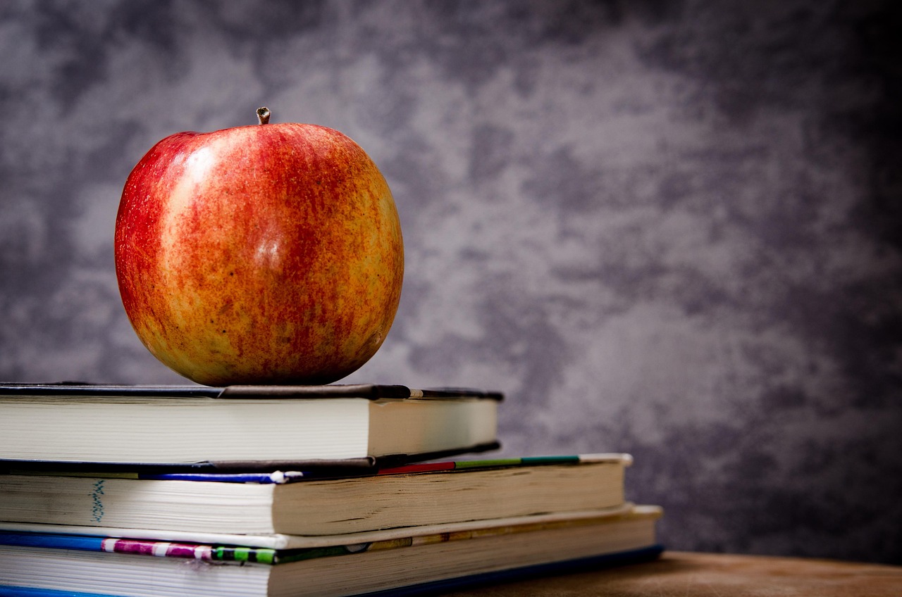 découvrez nos solutions d'assistance pour la rentrée scolaire : conseils, aides financières et ressources pratiques pour accompagner élèves et familles dans une reprise en toute sérénité.