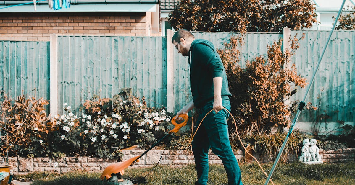 découvrez l'art du jardinage avec nos conseils pratiques, astuces et inspirations pour créer un jardin florissant. que vous soyez débutant ou expert, trouvez ici des idées pour cultiver des plantes, légumes et fleurs tout au long de l'année.
