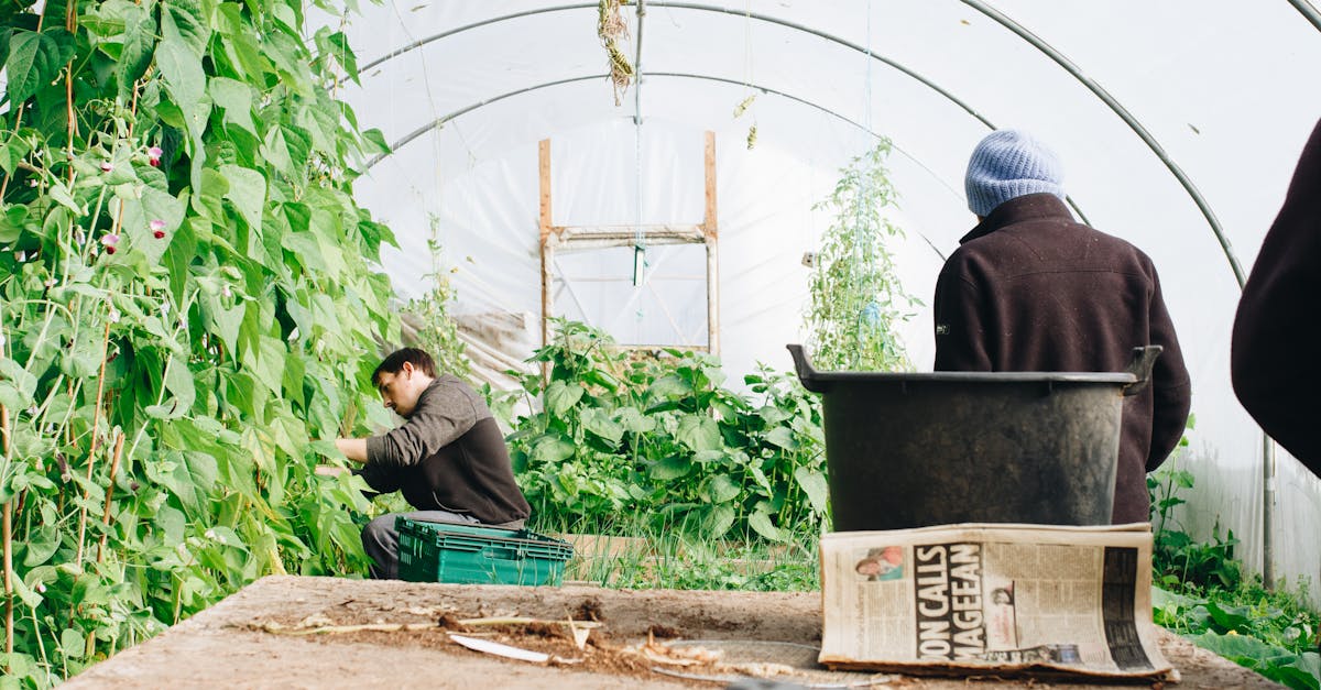 découvrez l'art du jardinage : conseils pratiques, astuces de plantation et idées inspirantes pour créer un jardin florissant et en harmonie avec la nature.