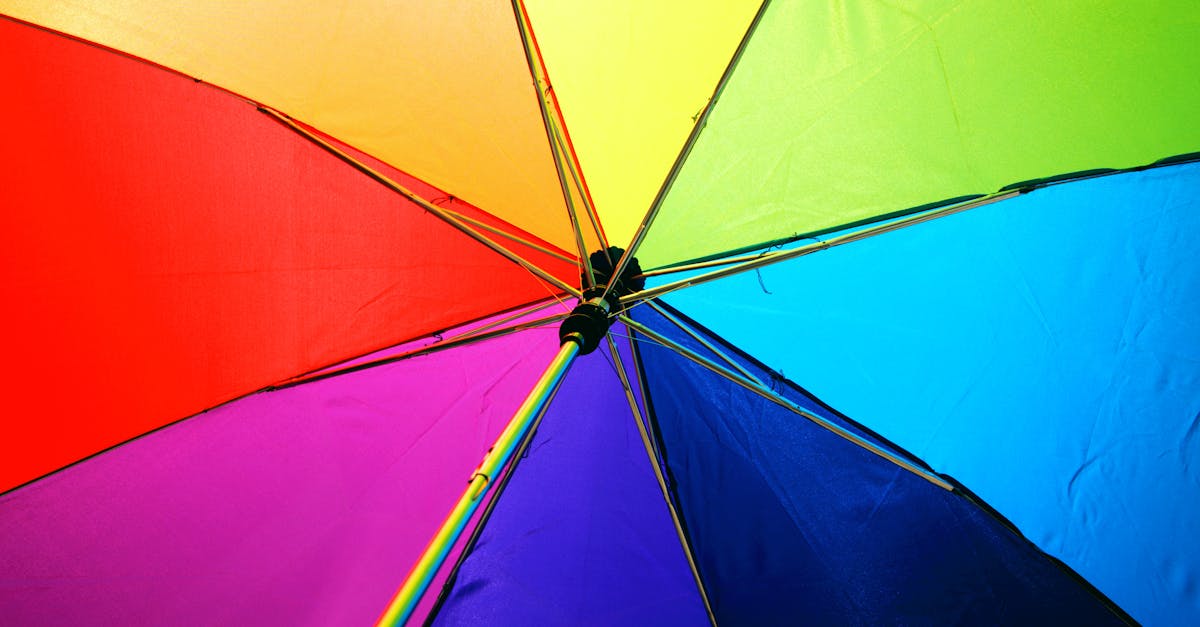 découvrez l'importance de l'inclusion : principes, enjeux et bonnes pratiques pour favoriser la diversité et l'égalité dans tous les domaines de la société.