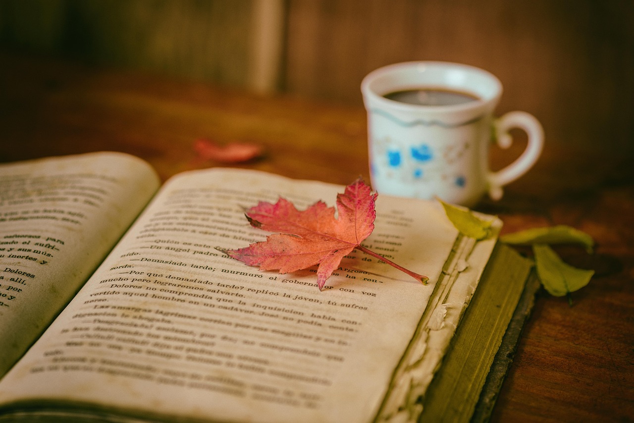 découvrez tout sur les loisirs : idées d'activités, conseils pour profiter de votre temps libre, actus tendances et inspirations pour un quotidien plus divertissant.