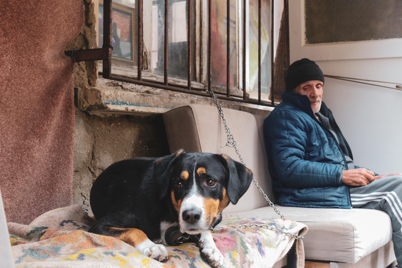 découvrez nos conseils et ressources destinés aux retraités pour profiter pleinement de la retraite, gérer vos finances et adopter un mode de vie épanouissant après la vie active.