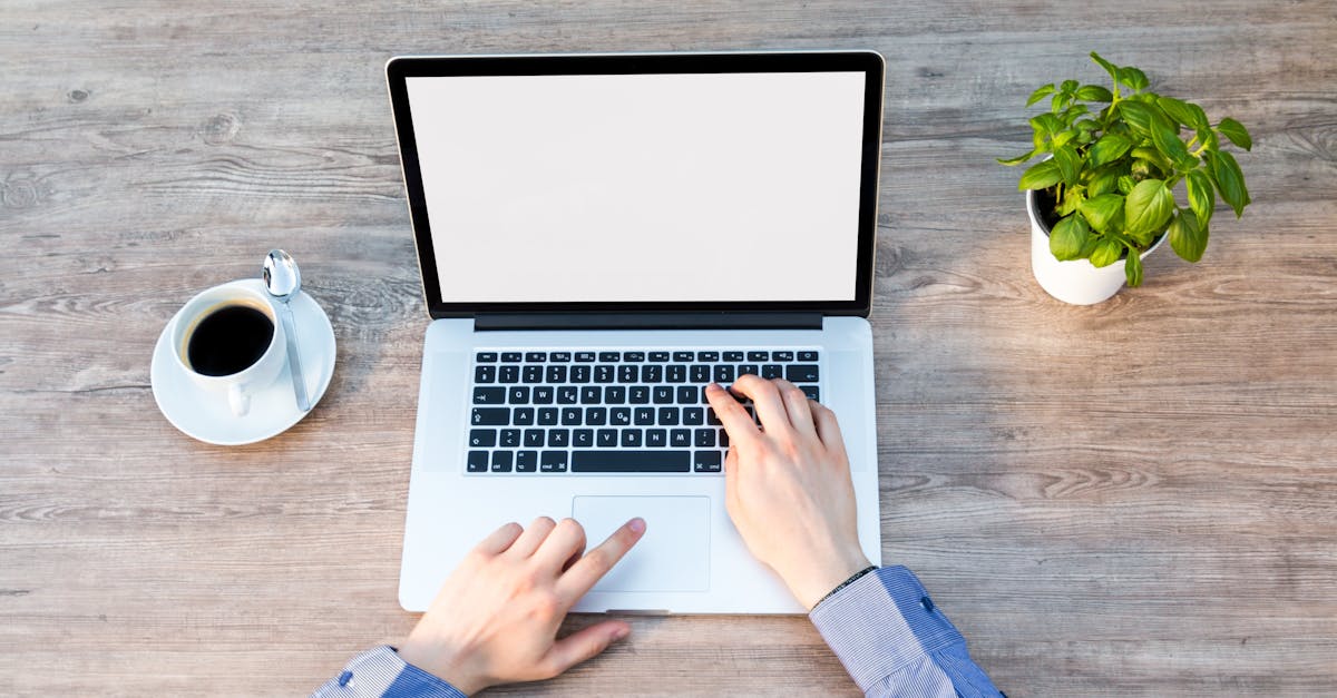 découvrez comment adopter des pratiques durables en entreprise pour favoriser la croissance, réduire l’impact environnemental et améliorer votre responsabilité sociale. conseils, stratégies et actualités sur le business durable.