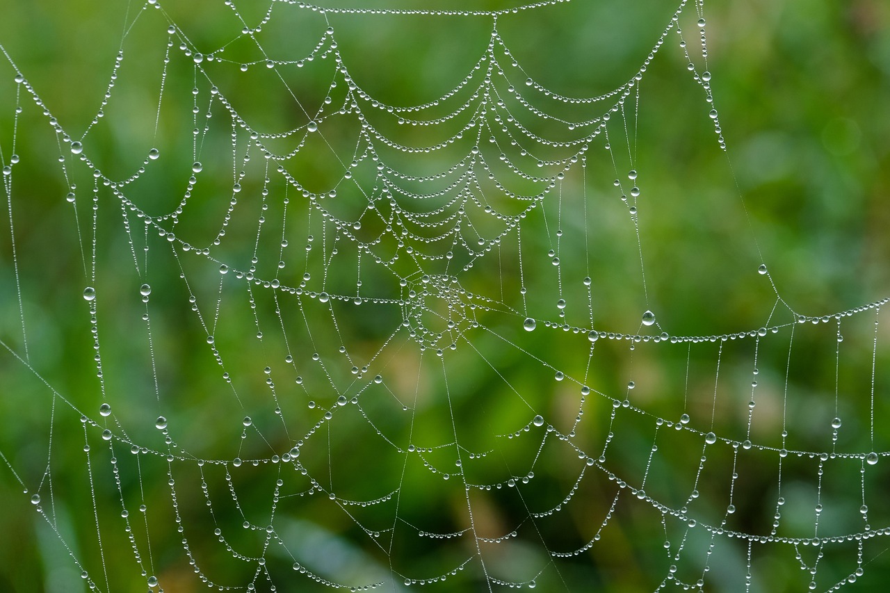 découvrez les meilleures pratiques et tendances du web design pour créer des sites internet modernes, attractifs et efficaces. conseils, inspirations et astuces pour améliorer l’expérience utilisateur et le design de votre site web.