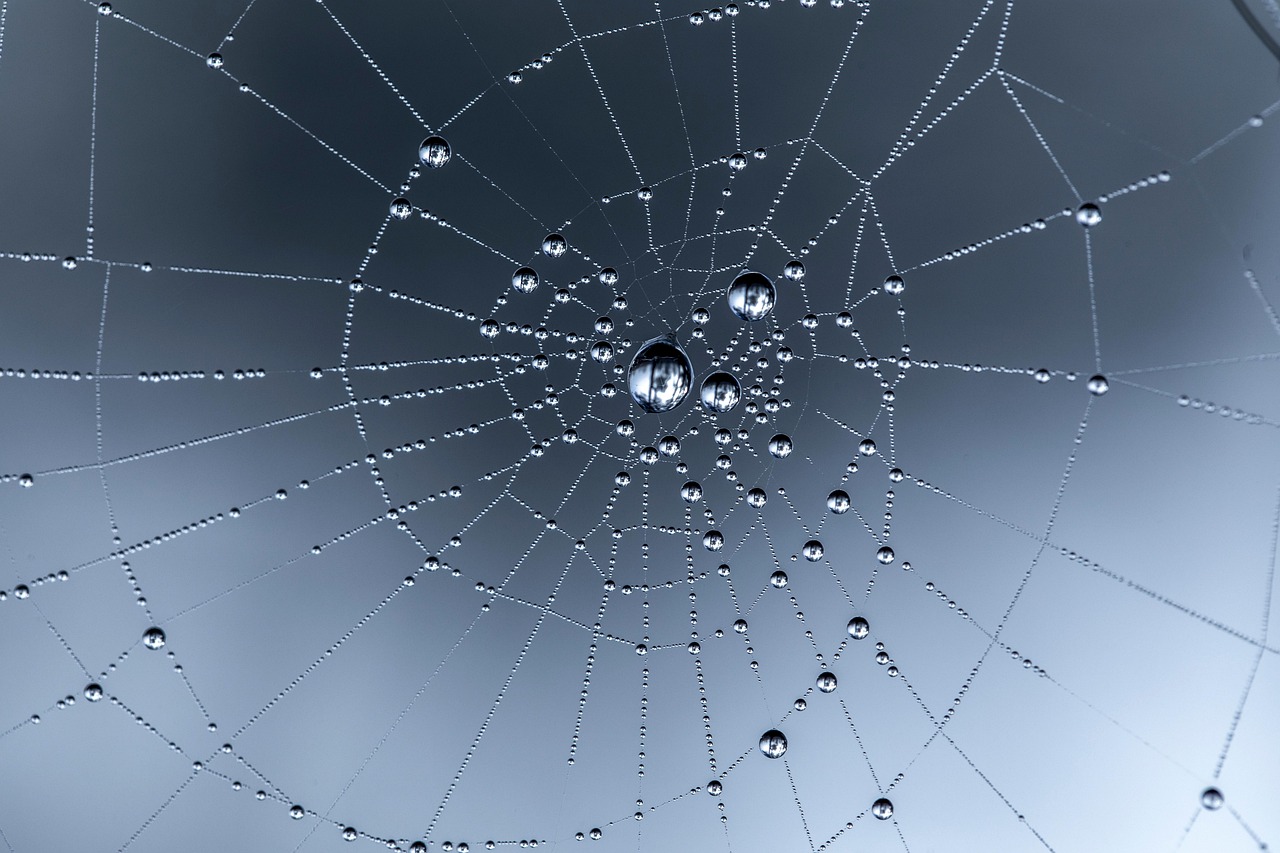 découvrez les principales métriques de performance web, apprenez à les mesurer et à les optimiser pour offrir une expérience utilisateur rapide et efficace sur votre site.